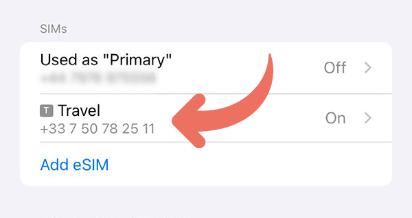 Immediately after your activation your Travel Sim will appear here