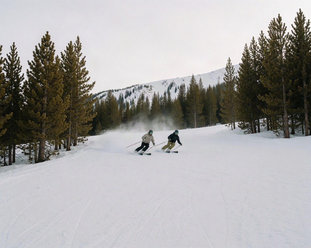 Two skiers carving a turn down a tree-lined piste with a snowy ridge behind